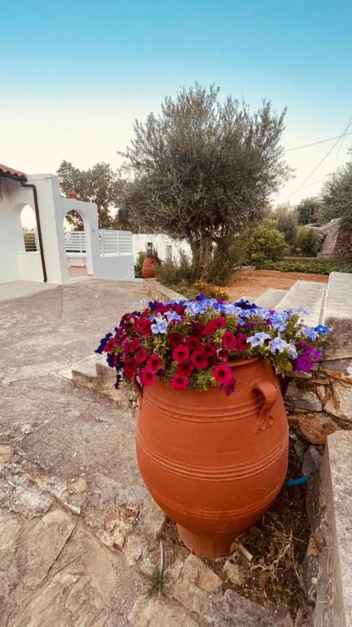 Havania Studio Agios Nikolaos  Luaran gambar
